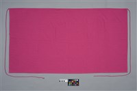 藏品(女子披肩)的圖片